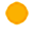 Orange circle icon
