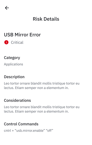 risk details example screen
