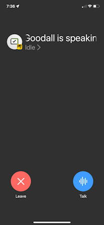 Device lock screen when the other participant is speaking in a background PTT call.