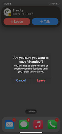 When a background call is not active, the status is Standby.