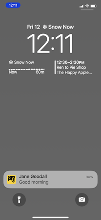 PTT Pro message notification on device lock screen.