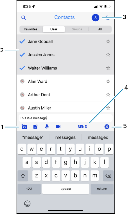 PTT Pro for iOS send message screen